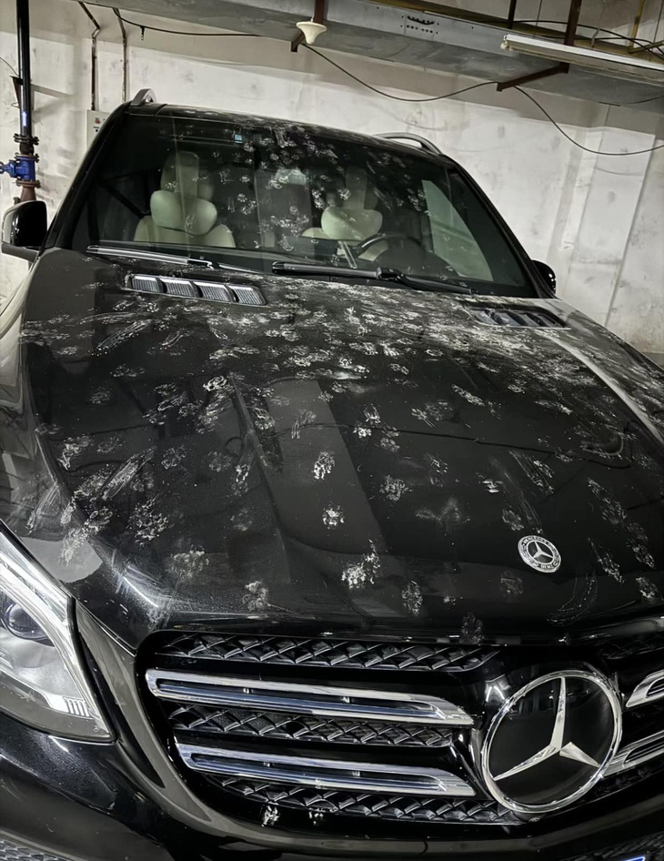 Phá hết phần người khác.