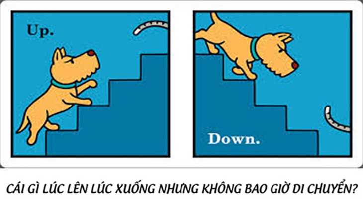 Câu đố hack não: Đi mà không đi là gì?- Ảnh 5.