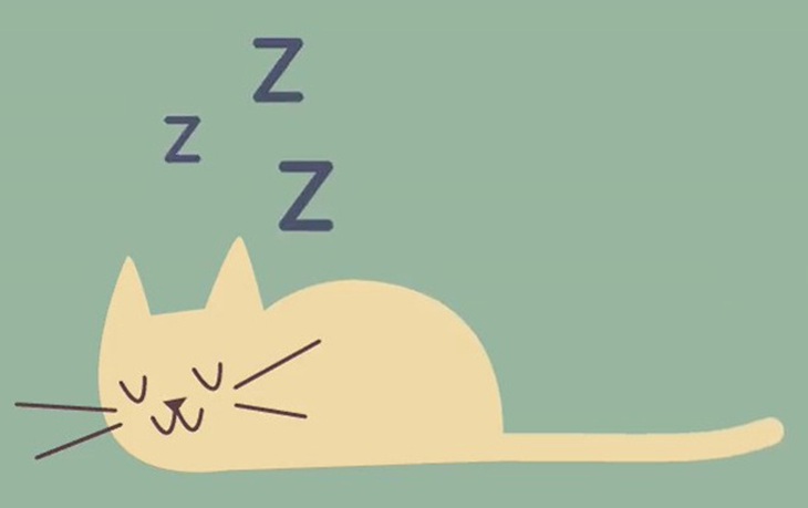 Câu đố hack não: Đi mà không đi là gì?- Ảnh 2.