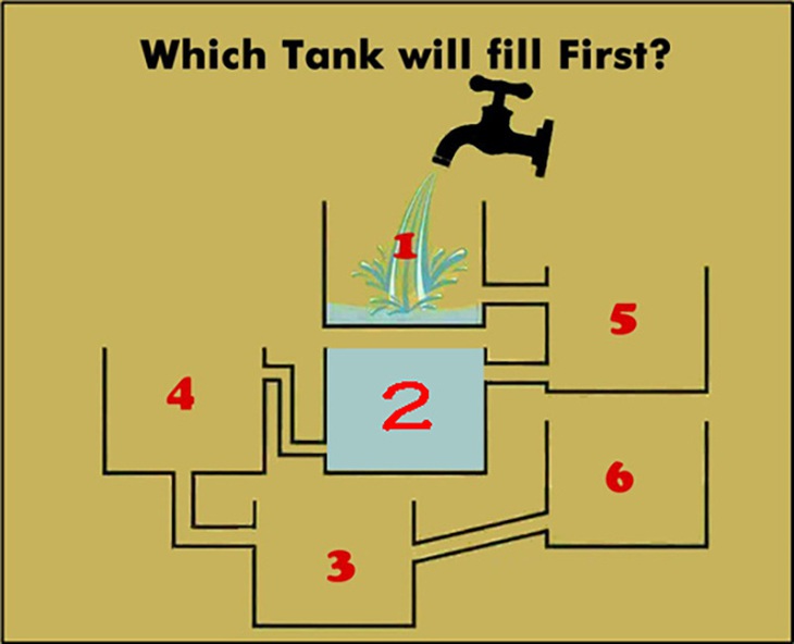 Câu đố hack não: Cái gì lặn mà không lặn?- Ảnh 8.
