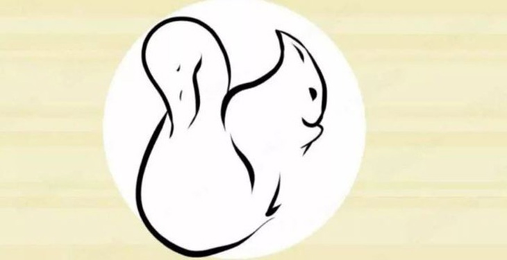 Hình ảnh tiết lộ bạn là người thực tế hay theo chủ nghĩa lý tưởng?- Ảnh 1.