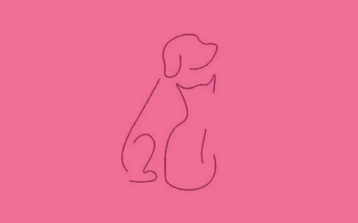 Con vật nhìn thấy tiết lộ bạn là người thế nào?