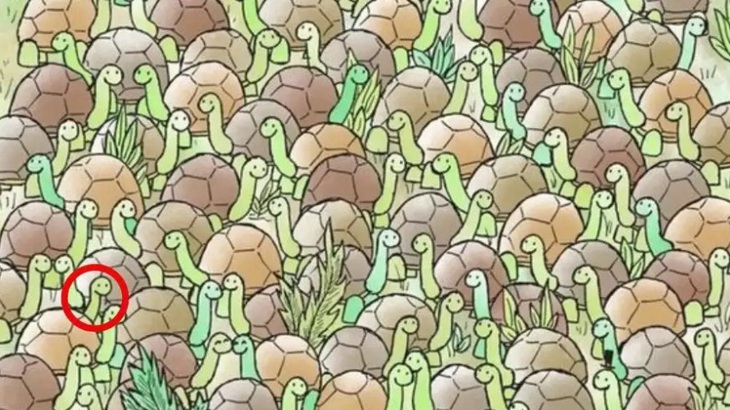 Mắt 10/10 mới thấy con chó trốn ở đâu?- Ảnh 4.