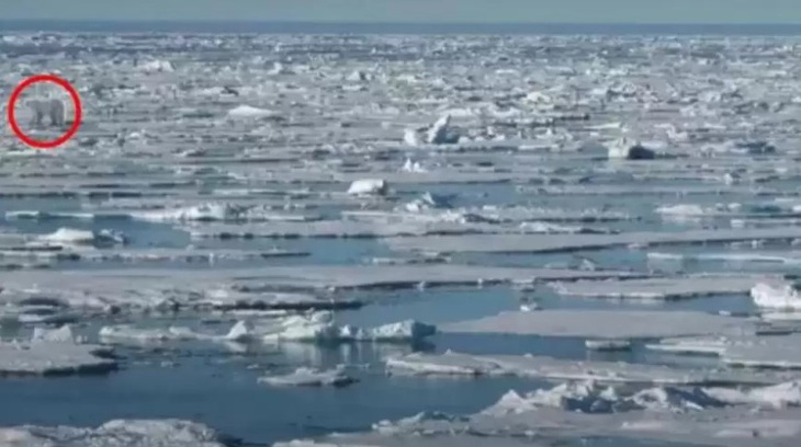 Mắt 10/10 mới thấy gấu Bắc Cực đứng ở đâu?- Ảnh 2.