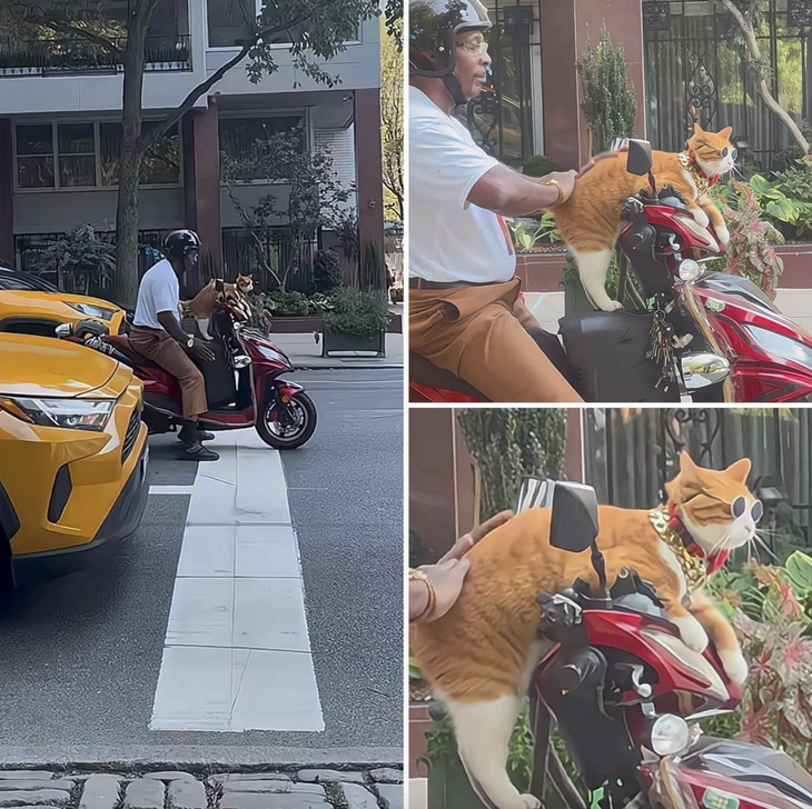 Ảnh vui 10-10: Đâu phải lúc nào cũng có dịp 'phông bạt' - Ảnh 3.