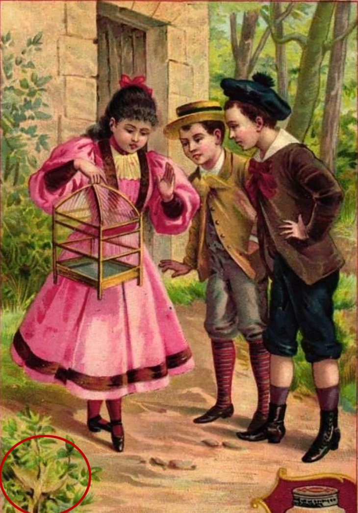 Thử tài tinh mắt: Con chim ẩn giấu ở đâu? - Ảnh 1.