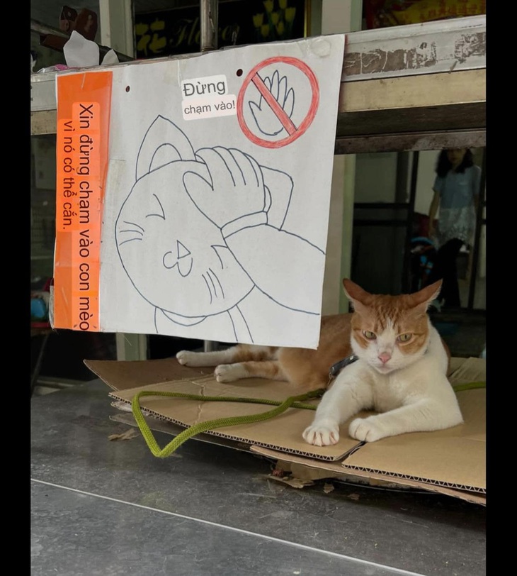 Ảnh vui 27-10: Tiền tiết kiệm của tôi thế này, bạn thế nào? - Ảnh 6.