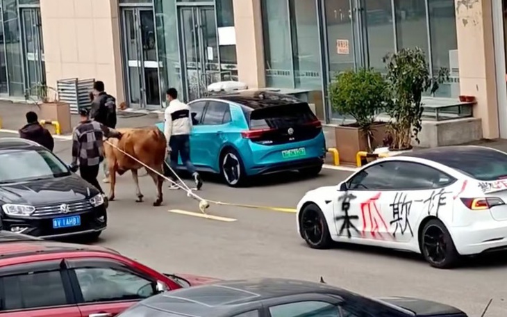 Ảnh vui 31-10: Đặc điểm của thi vấn đáp - Ảnh 7.