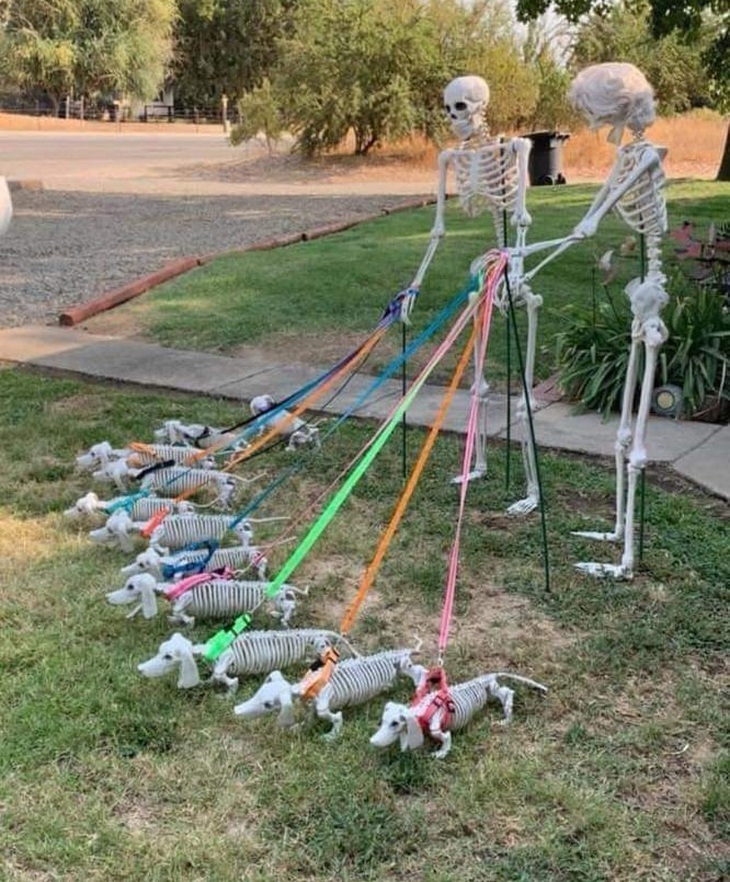 Chơi Halloween kiểu 'đầu chập cheng' - Ảnh 3.