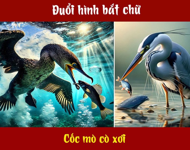 IQ cao có đoán được đây là câu tục ngữ, thành ngữ gì? (P136) - Ảnh 1.