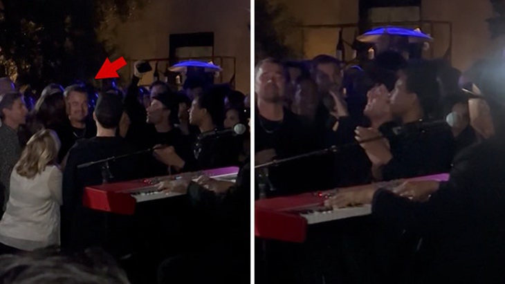 Tiệc sinh nhật toàn sao của Leonardo DiCaprio - Ảnh 9.