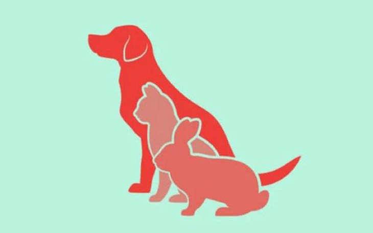 Quiz: Bạn có mệnh 'tận hưởng hạnh phúc' không? - Ảnh 2.