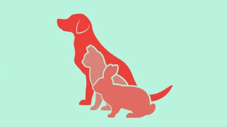 Quiz: Soi thấu tính cách của bạn qua hình ảnh con vật đầu tiên nhìn thấy - Ảnh 1.