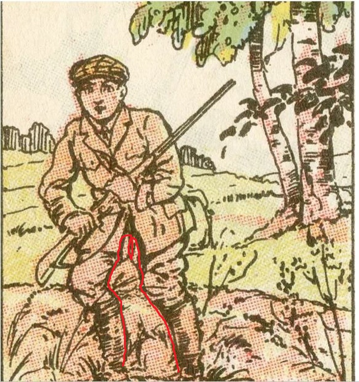 Thử tài tinh mắt: Con thỏ trốn ở đâu? - Ảnh 1.