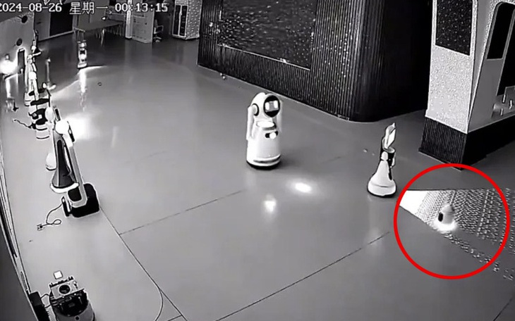 Ảnh vui 15-11: Người mẫu và người nẫu... ruột - Ảnh 7.