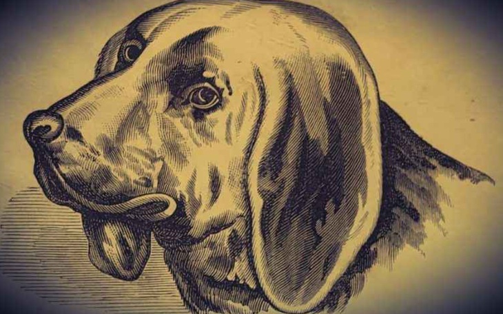 Người tiều phu đứng ở đâu trong hình - Ảnh 9.