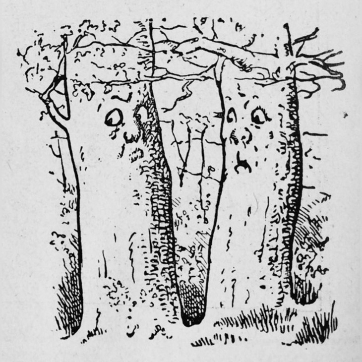 Người tiều phu đứng ở đâu trong hình - Ảnh 1.