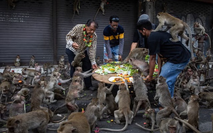 Hoa hậu Thanh Thủy xứng danh 'nữ hoàng meme' ngày trở về - Ảnh 13.