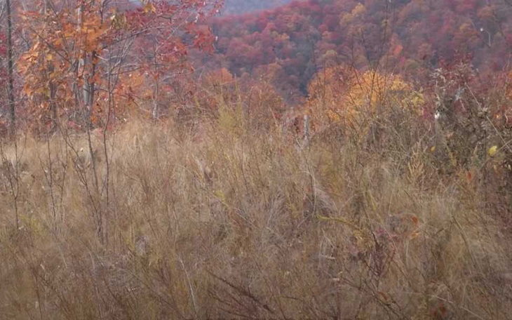 Xô nào sẽ đầy nước trước? - Ảnh 5.