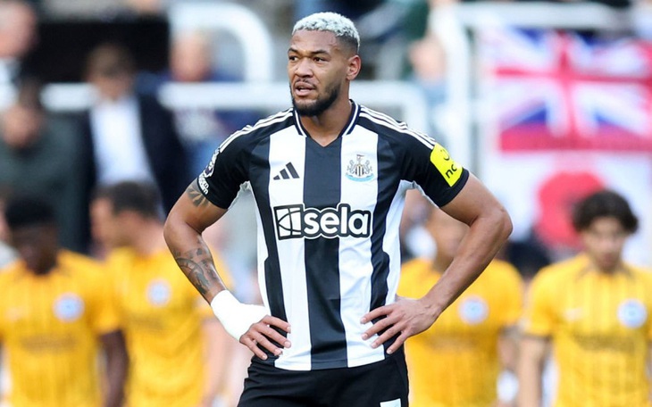 Cảnh sát chìm ‘fan Liverpool’ bắt fan Newcastle buôn ma túy - Ảnh 4.