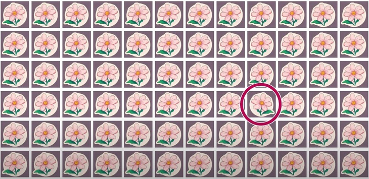 Thử tài tinh mắt: Con gấu Bắc Cực ẩn giấu ở đâu? - Ảnh 1.