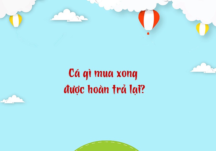 Cá gì mua xong được hoàn trả lại? - Ảnh 1.