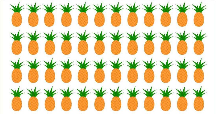 Thiên tài mới thấy con chó ẩn giấu ở đâu trong hình - Ảnh 2.