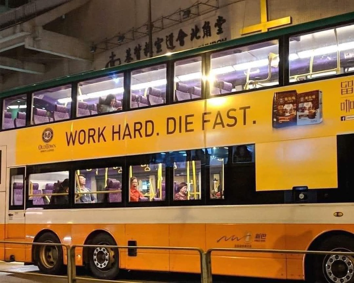 Ảnh vui 29-11: Chú mèo nằm êm trên... nệm lông chó - Ảnh 3.