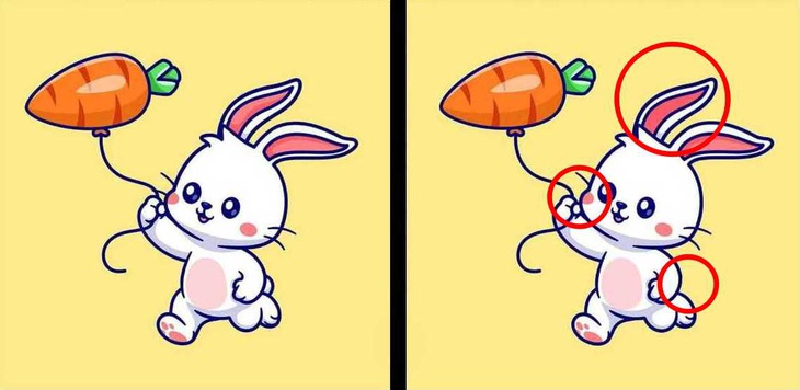 Thử tài tinh mắt: 3 con thỏ ẩn giấu ở đâu? - Ảnh 1.