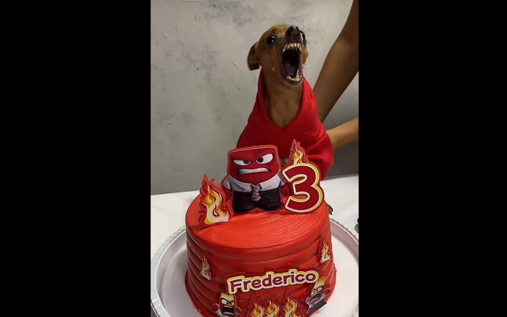 Những điều chưa biết về “bé ba” đang tràn ngập vỉa hè - Ảnh 5.