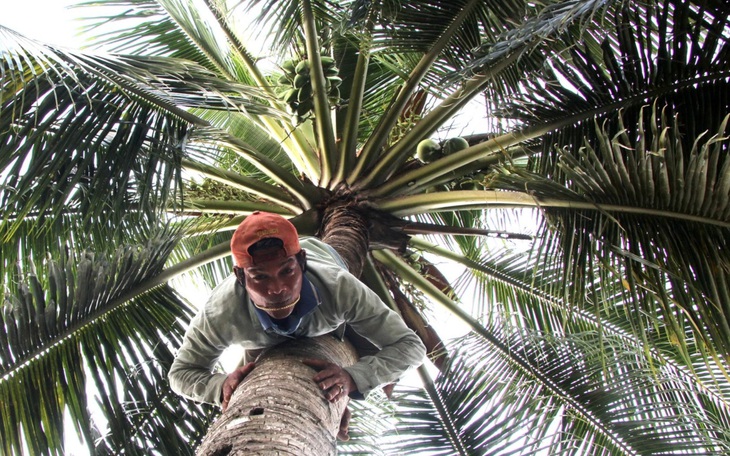 Tỉnh nào nước ta có biệt danh 'Nơi đá nở hoa'? - Ảnh 7.