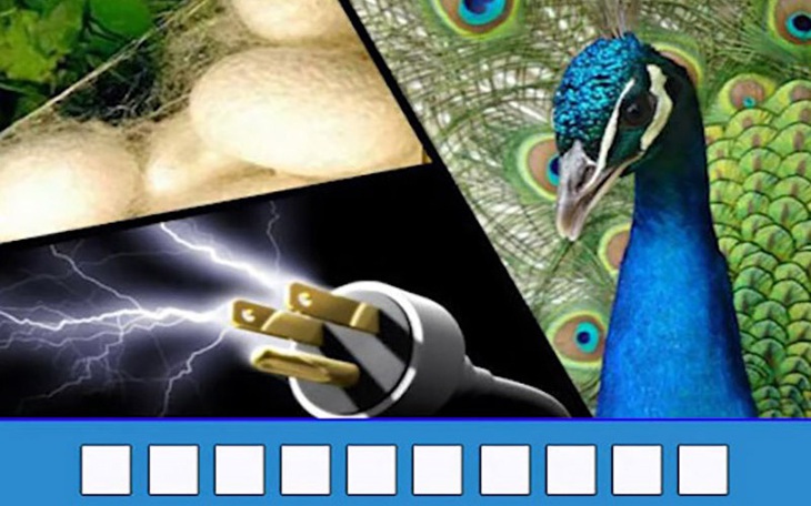 Thử tài nhanh trí với đuổi hình bắt chữ (P33) - Ảnh 5.