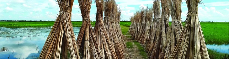 Màu nâu - Trở lại và lợi hại hơn xưa - Ảnh 4.