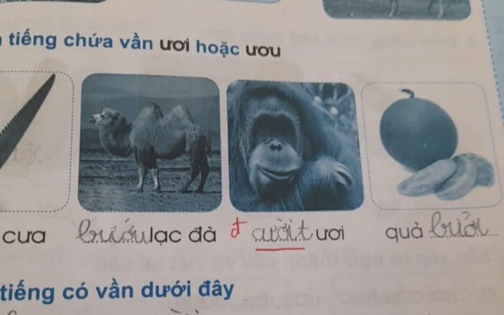 Cô dâu tung Labubu thay hoa cưới - Ảnh 3.