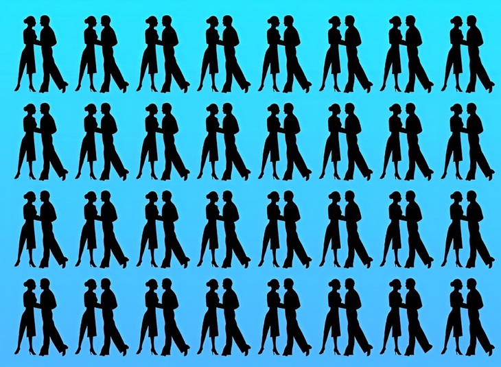 Mắt kém không thấy con gấu Bắc Cực ở đâu - Ảnh 2.