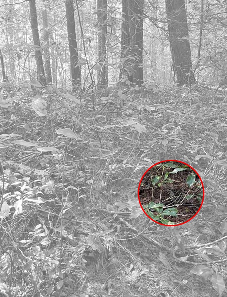 Mắt 10/10 mới thấy người đàn ông ở đâu - Ảnh 1.