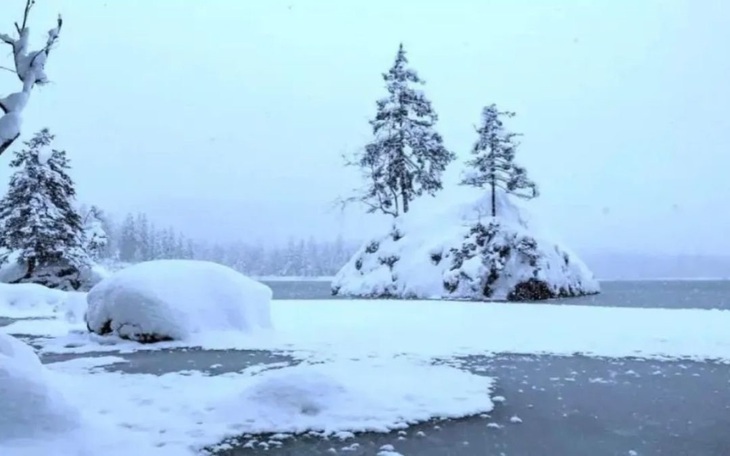 Thử tài tinh mắt: Con mèo trốn ở đâu? - Ảnh 7.