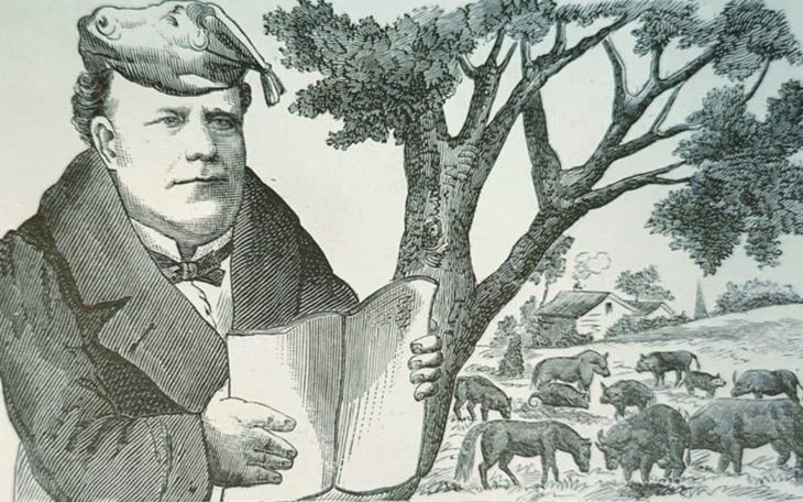 Khuôn mặt người đàn ông ẩn giấu ở đâu? - Ảnh 8.