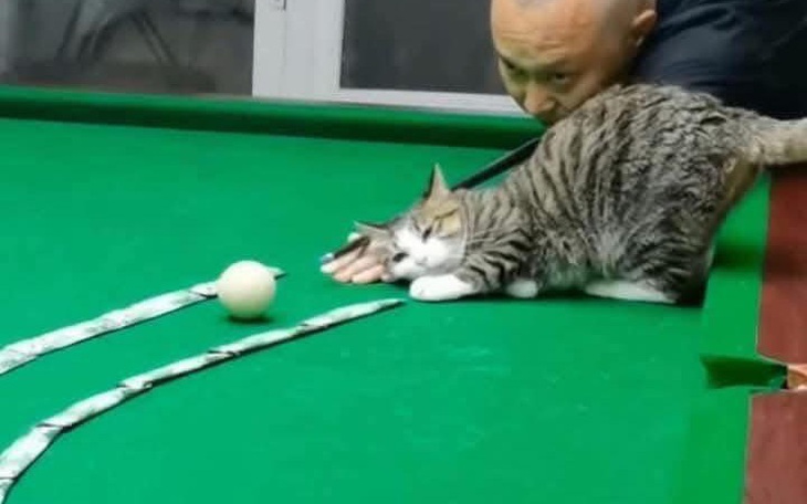 Meme 'Hello Kitty nổi loạn': người đồng cảm, người 'nổi khùng' - Ảnh 6.