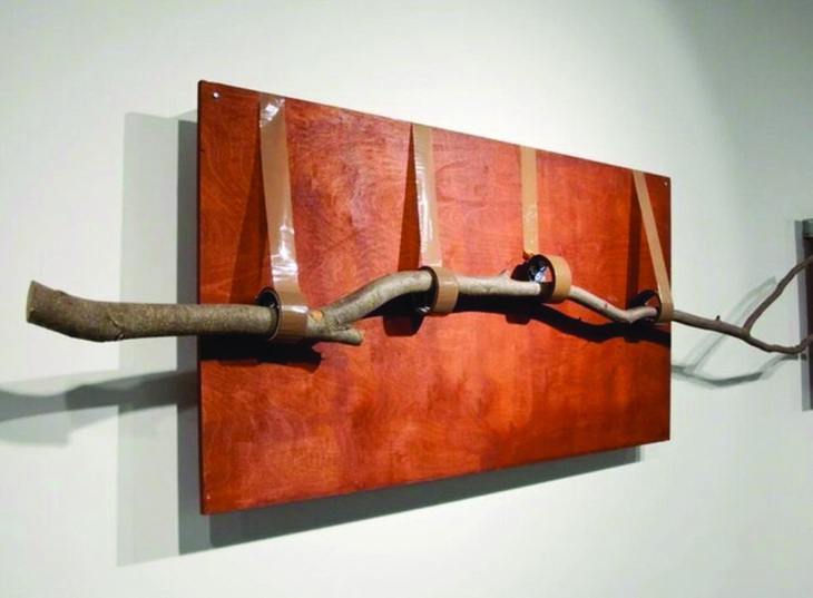 Trái chuối và cành cây - Ảnh 1.