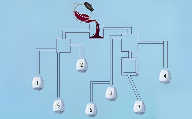 Tại sao cô gái đi mua mèo lại bỏ về? - Ảnh 8.