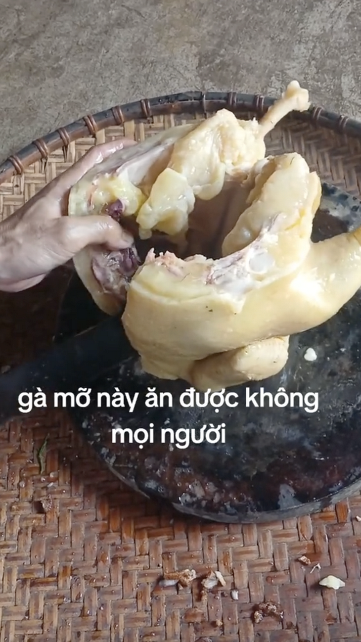 Gà "full mỡ", mỡ "full cả gà". 