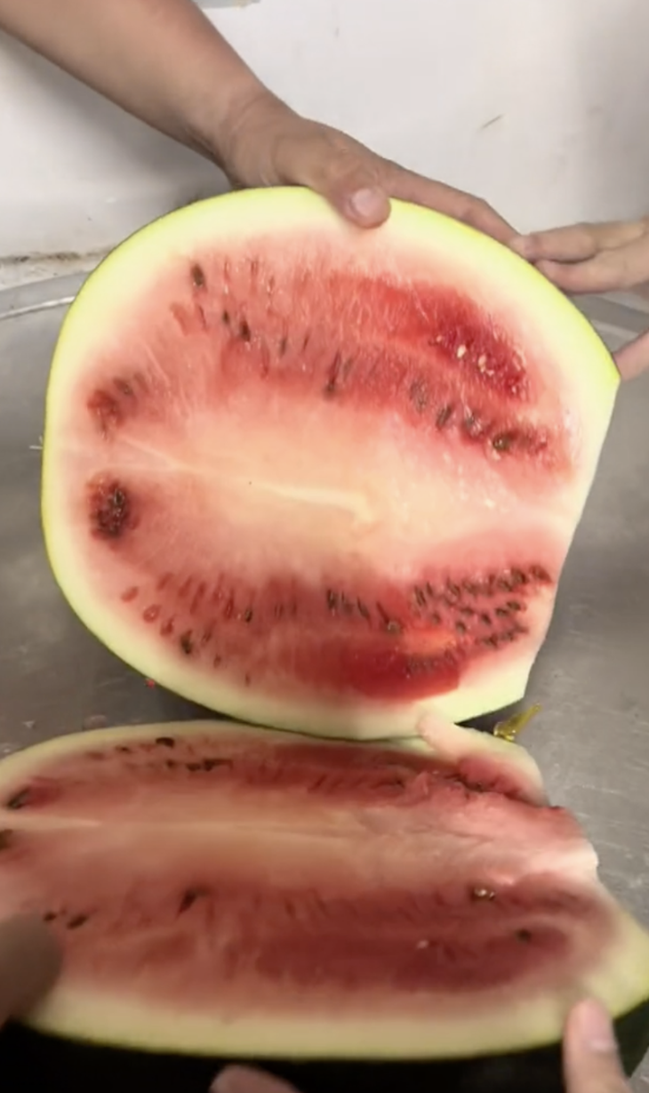 Dưa hấu đỏ - Vậy là đỏ dữ chưa?! 