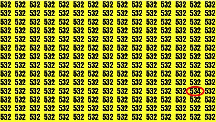 Thử tài tinh mắt: Con thỏ ở đâu?- Ảnh 4.