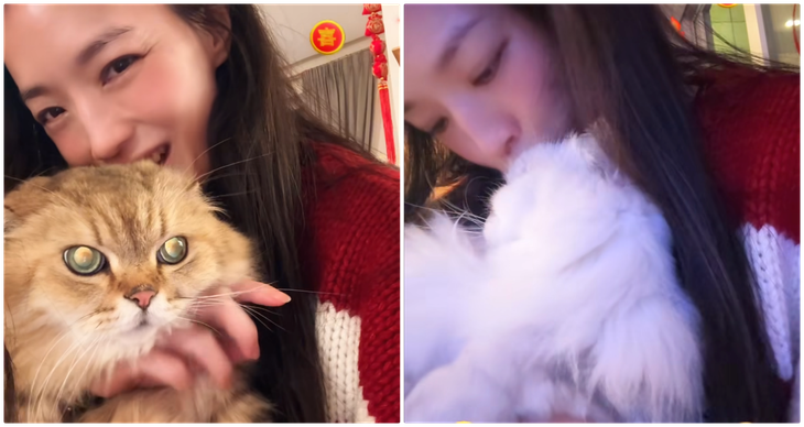 Năm Rồng, Thư Kỳ ôm Mèo chúc Tết, hồi tưởng về quá khứ gây bão mạng- Ảnh 2.