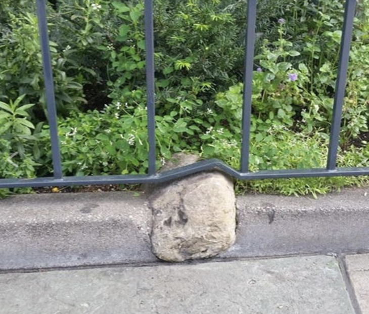 Biểu hiện của sự cố chấp. 