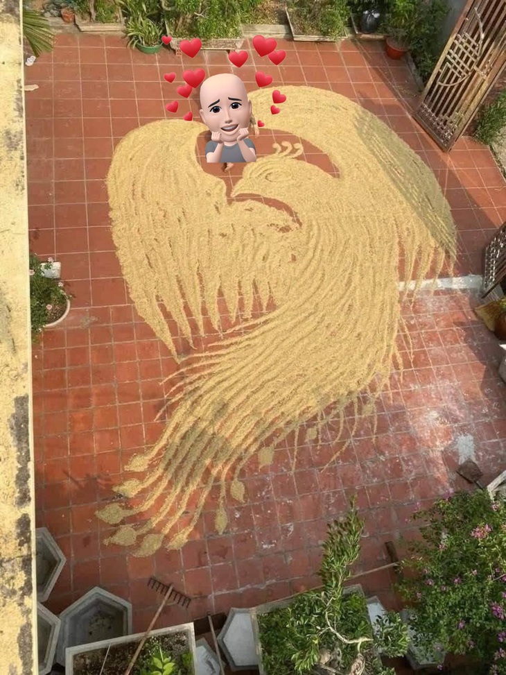 Kể ra phơi lúa cũng nhàn. 