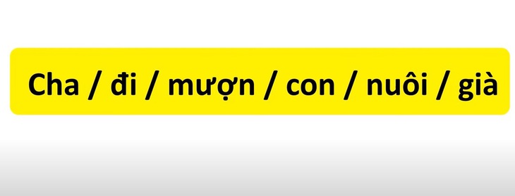 Thử tài tiếng Việt: Sắp xếp các từ sau thành câu có nghĩa (P7)- Ảnh 1.
