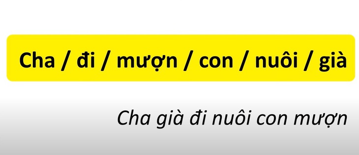 Thử tài tiếng Việt: Sắp xếp các từ sau thành câu có nghĩa (P7)- Ảnh 2.