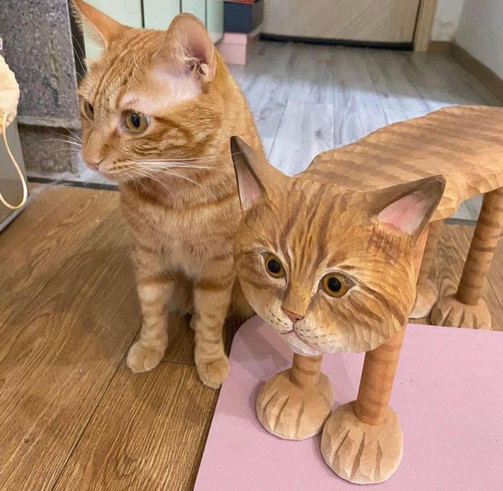 Nhìn vậy mà không phải vậy.